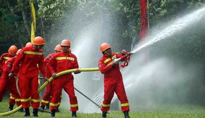 Detail Gambar Profesi Pemadam Kebakaran Nomer 12
