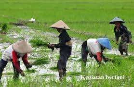 Detail Gambar Profesi Petani Kartun Nomer 35