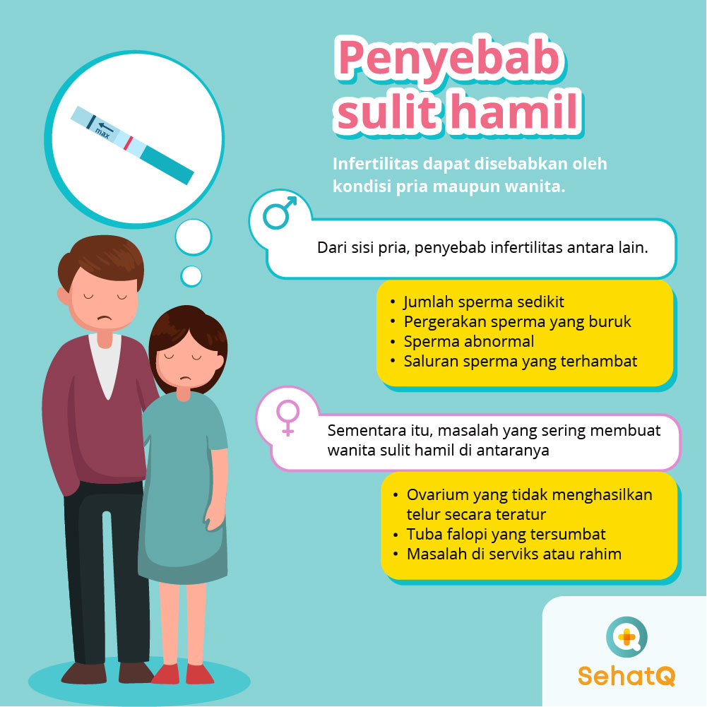 Detail Gambar Program Hamil Nomer 12