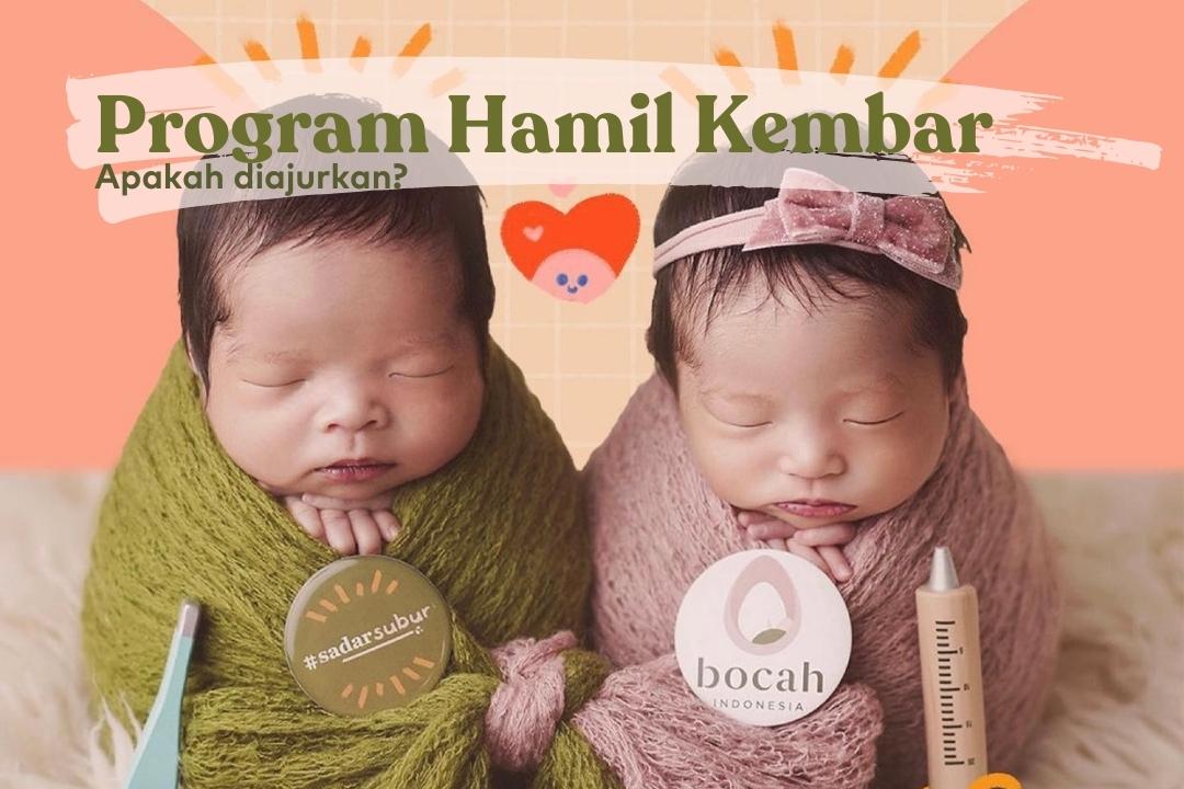 Detail Gambar Program Hamil Nomer 17