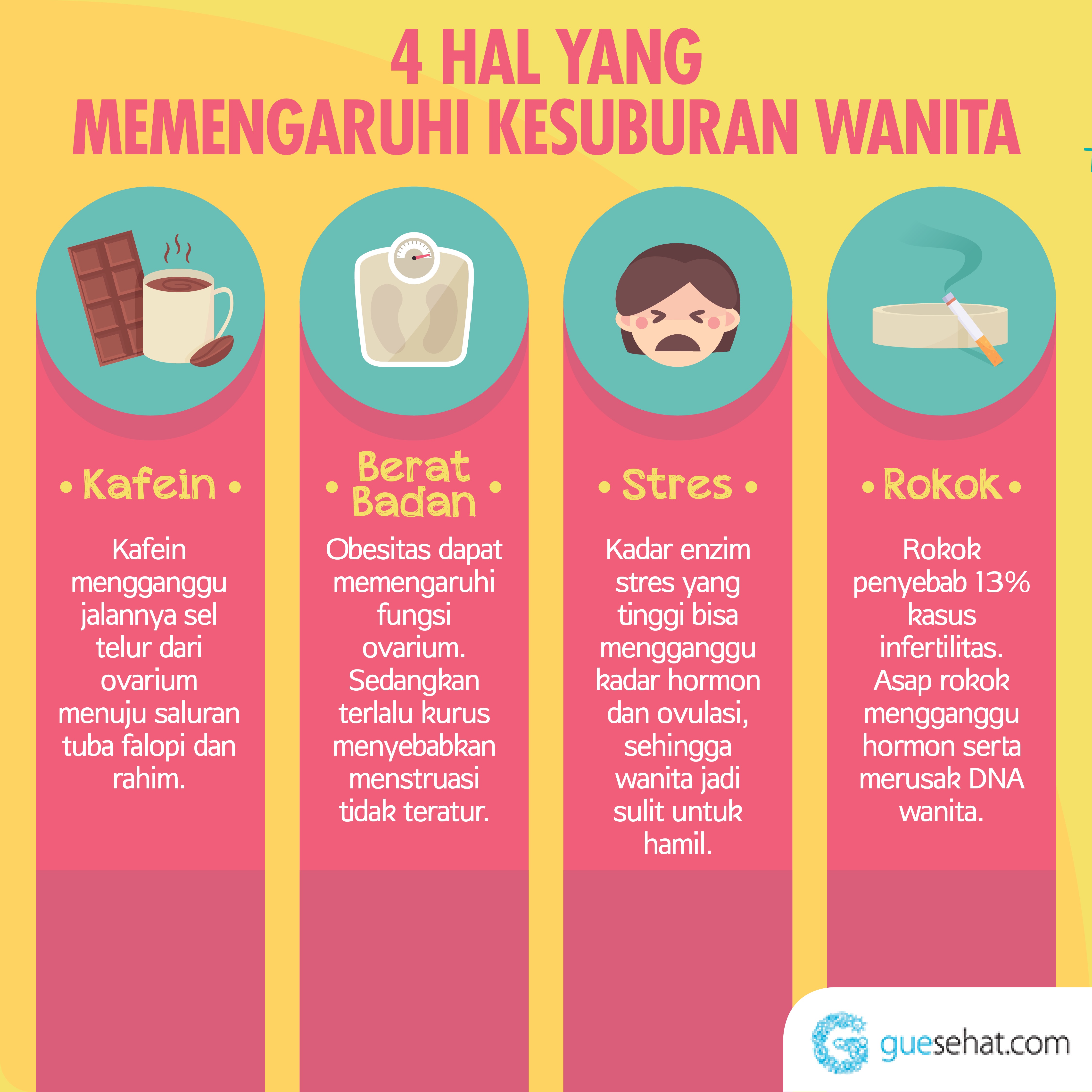 Detail Gambar Program Hamil Nomer 21