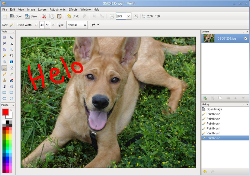 Detail Gambar Program Paint Nomer 51