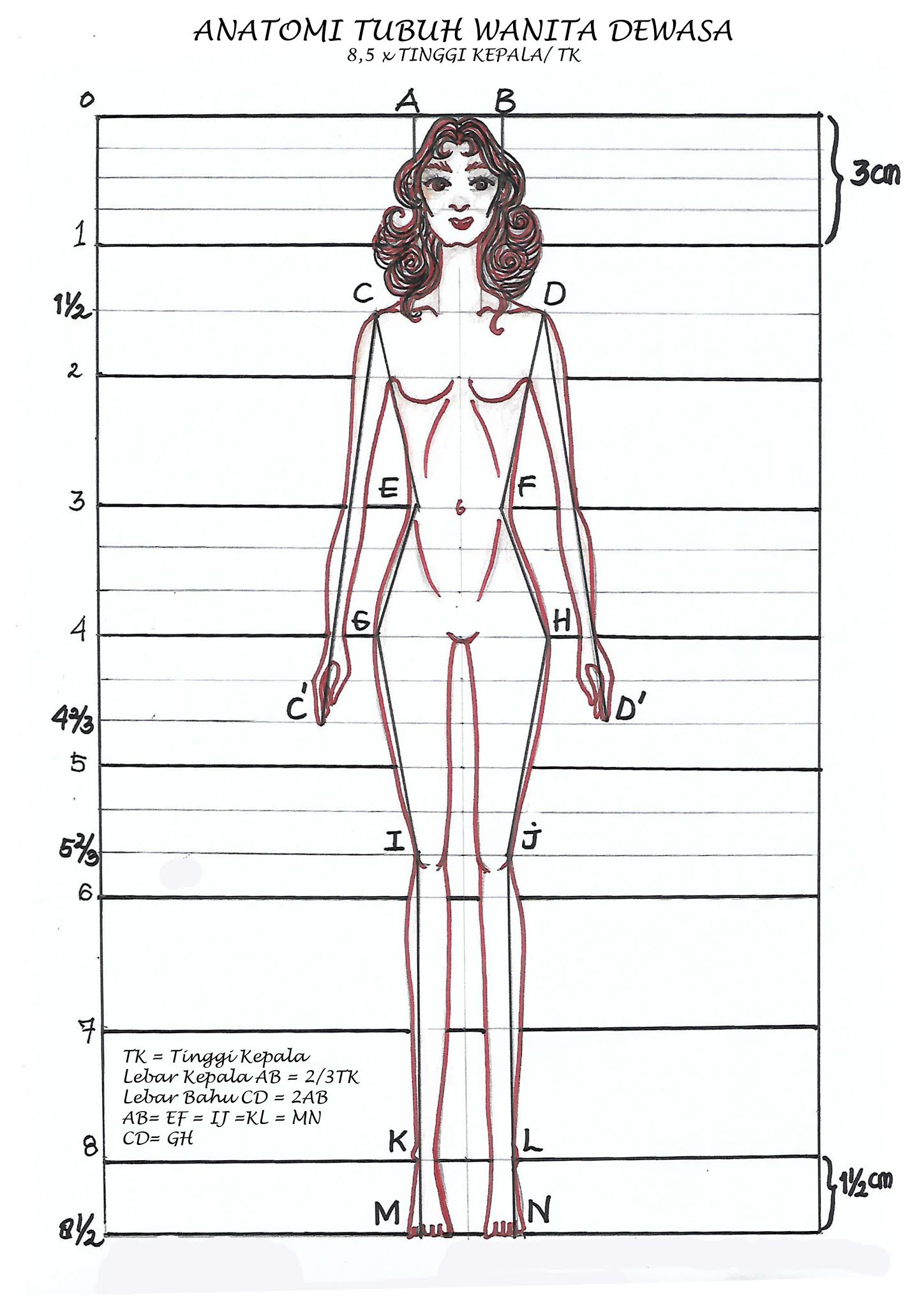 Detail Gambar Proporsi Tubuh Wanita Nomer 17