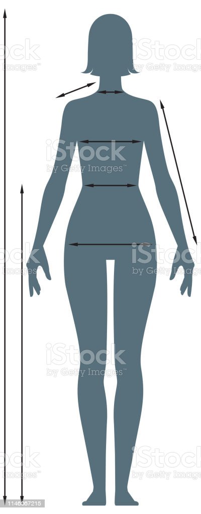 Detail Gambar Proporsi Tubuh Wanita Nomer 29