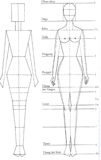 Detail Gambar Proporsi Tubuh Wanita Serta Baju Nomer 26
