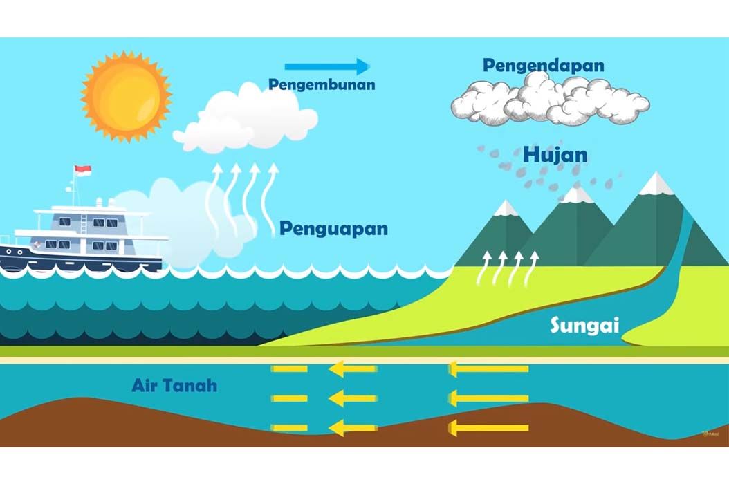 Detail Gambar Proses Air Yang Jatuh Di Pohon Atau Tumbuhan Nomer 28