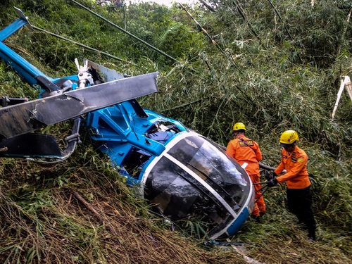 Detail Gambar Proses Air Yang Jatuh Di Pohon Atau Tumbuhan Nomer 37