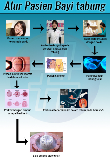Detail Gambar Proses Bayi Tabung Nomer 20