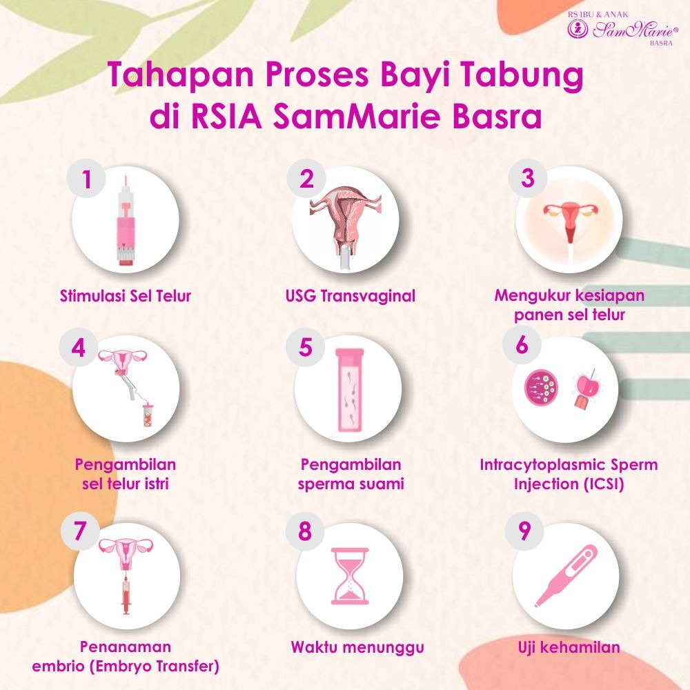 Detail Gambar Proses Bayi Tabung Nomer 6