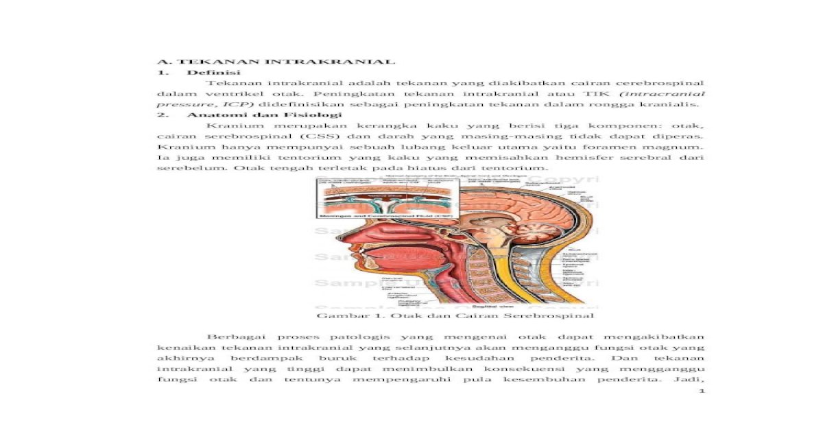 Detail Gambar Proses Cairan Serebrospinal Dalam Otak Nomer 28