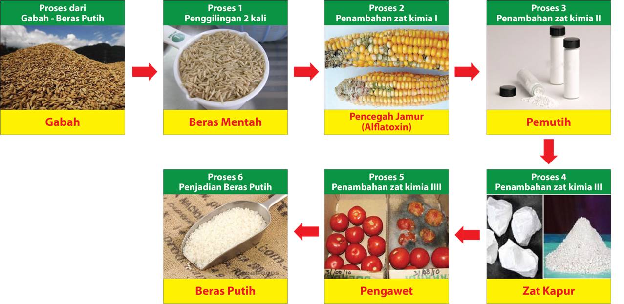 Detail Gambar Proses Dari Padi Jadi Nasi Nomer 8