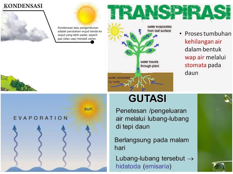 Detail Gambar Proses Evaporasi Nomer 23