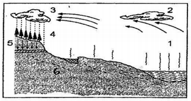 Detail Gambar Proses Evaporasi Nomer 27