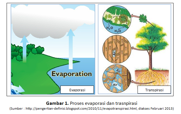 Detail Gambar Proses Evaporasi Nomer 41