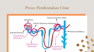 Detail Gambar Proses Filtrasi Nomer 15