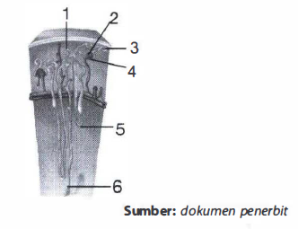 Detail Gambar Proses Filtrasi Nomer 53