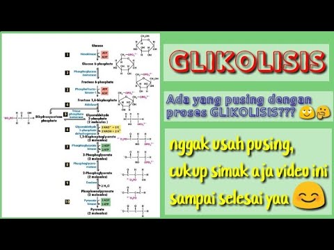 Detail Gambar Proses Glikolisis Nomer 41