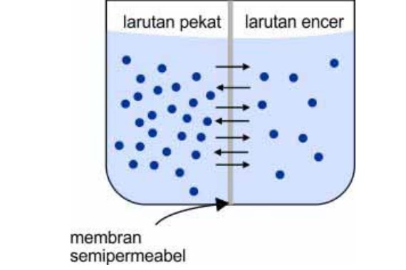 Detail Gambar Proses Larutan Nomer 32