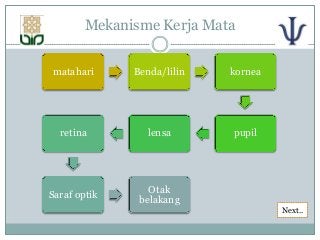 Detail Gambar Proses Melihat Nomer 32