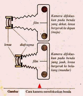 Detail Gambar Proses Melihat Nomer 46