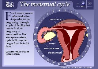 Detail Gambar Proses Menstruasi Nomer 15