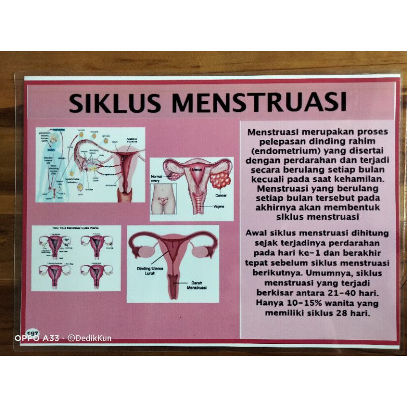 Detail Gambar Proses Menstruasi Nomer 38