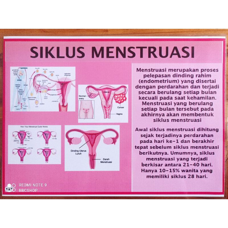 Detail Gambar Proses Menstruasi Nomer 44