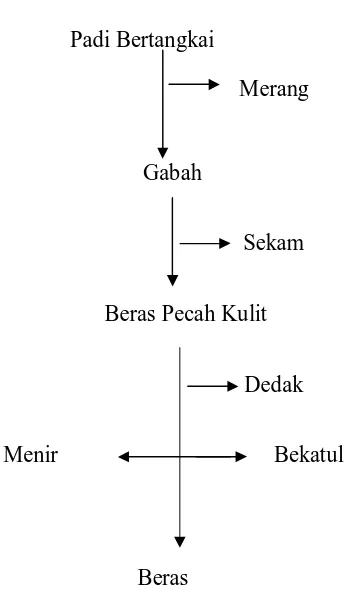 Detail Gambar Proses Padi Menjadi Beras Nomer 40