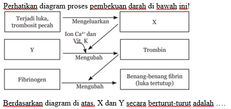 Detail Gambar Proses Pembekuan Darah Nomer 27