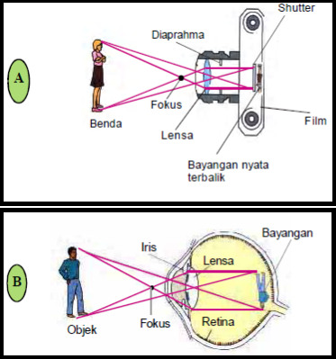 Detail Gambar Proses Pembentukan Bayangan Pada Kamera Nomer 3