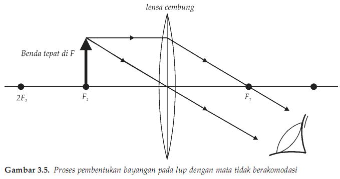 Detail Gambar Proses Pembentukan Bayangan Pada Kamera Nomer 35