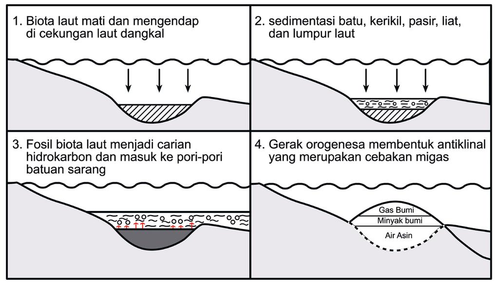 Detail Gambar Proses Pembentukan Inyak Bumi Nomer 47