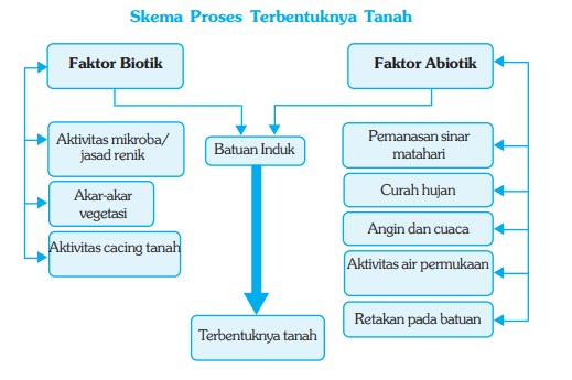 Detail Gambar Proses Pembentukan Tanah Nomer 14