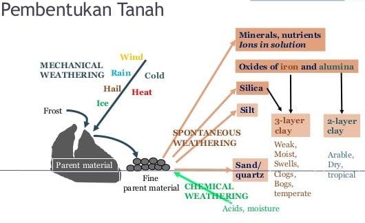 Detail Gambar Proses Pembentukan Tanah Nomer 37