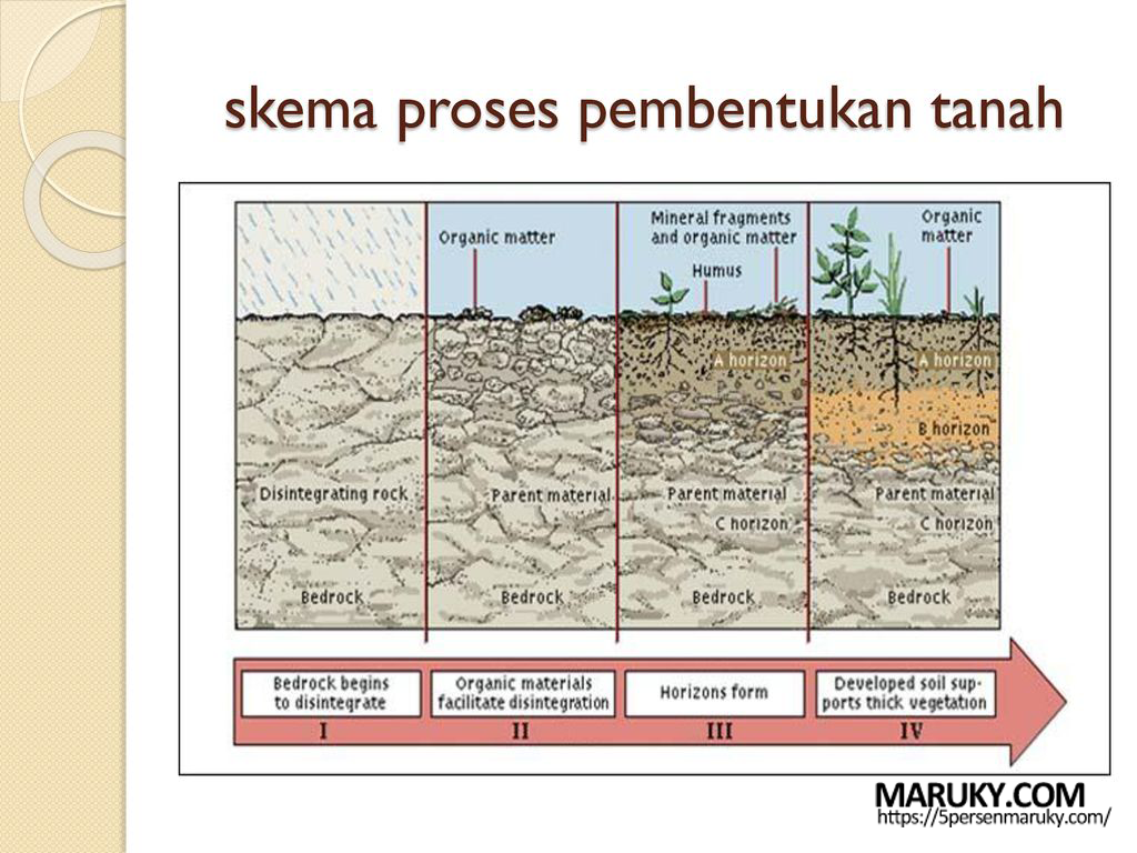 Detail Gambar Proses Pembentukan Tanah Nomer 6