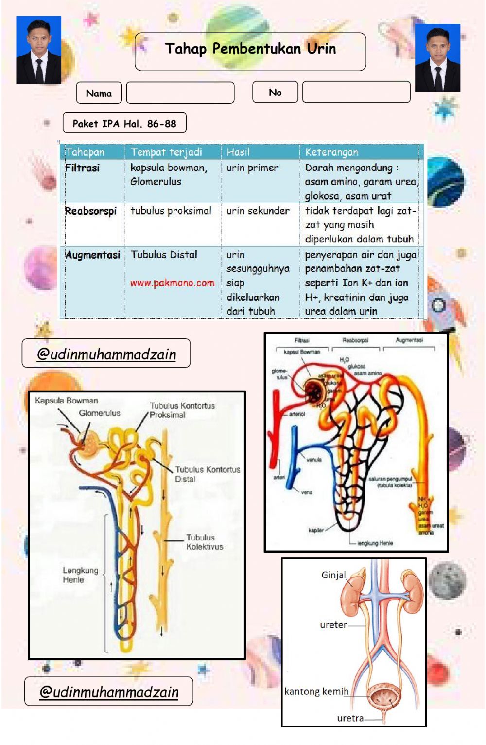 Detail Gambar Proses Pembentukan Urine Nomer 24