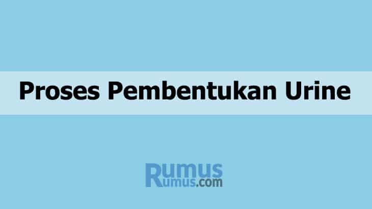 Detail Gambar Proses Pembentukan Urine Nomer 42