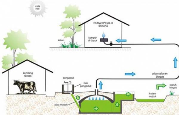 Detail Gambar Proses Pembuatan Biogas Nomer 3