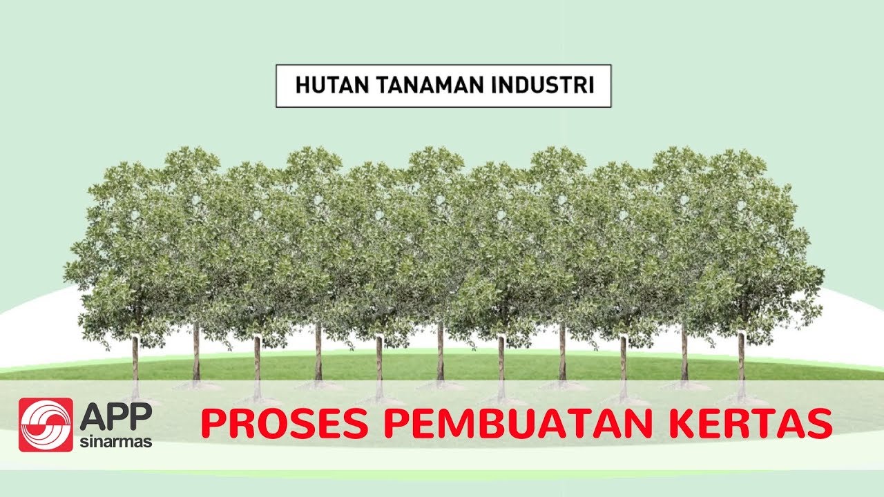 Detail Gambar Proses Pembuatan Kertas Nomer 11