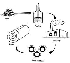 Detail Gambar Proses Pembuatan Kertas Nomer 4
