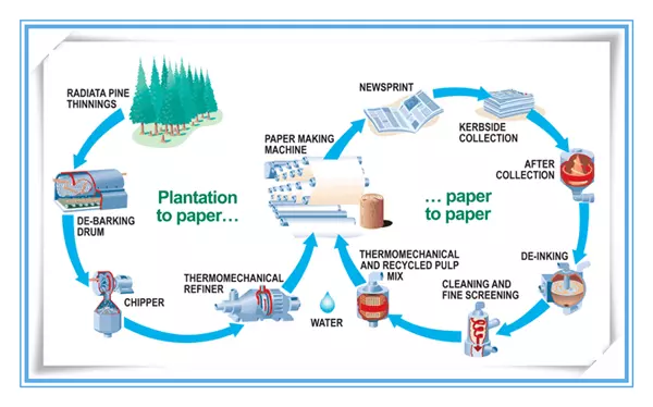 Detail Gambar Proses Pembuatan Kertas Nomer 42