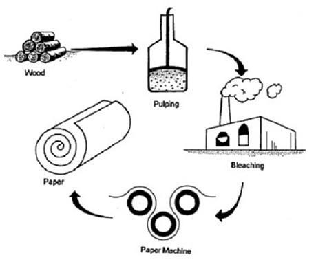 Detail Gambar Proses Pembuatan Kertas Nomer 7