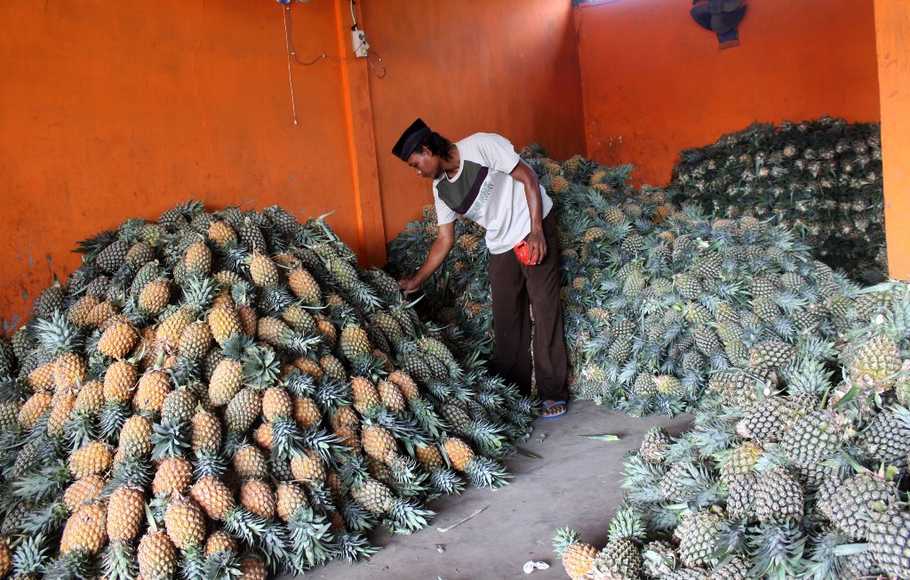 Detail Gambar Proses Pembuatan Nanas Kaleng Lampung Nomer 36