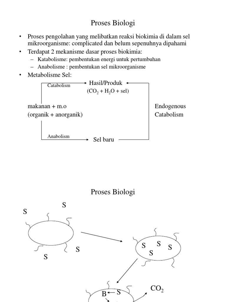 Detail Gambar Proses Proses Biologi Nomer 2