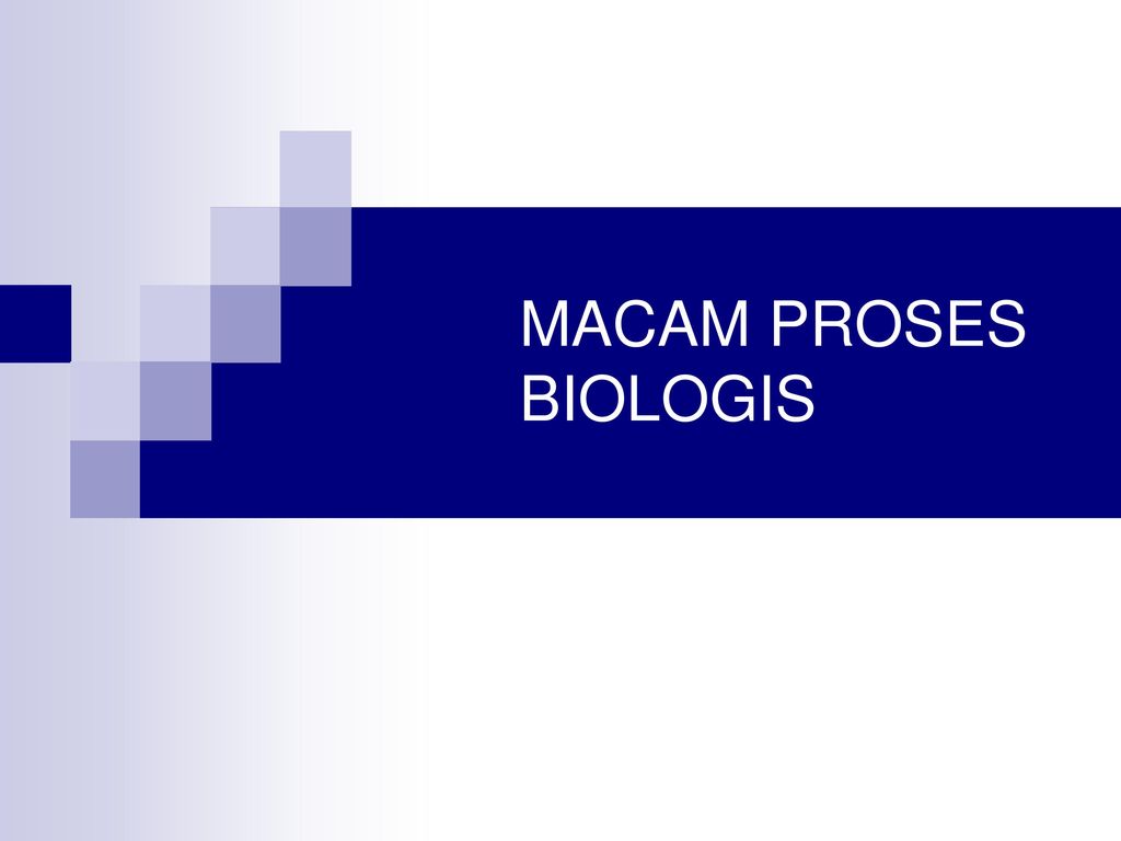 Detail Gambar Proses Proses Biologi Nomer 13