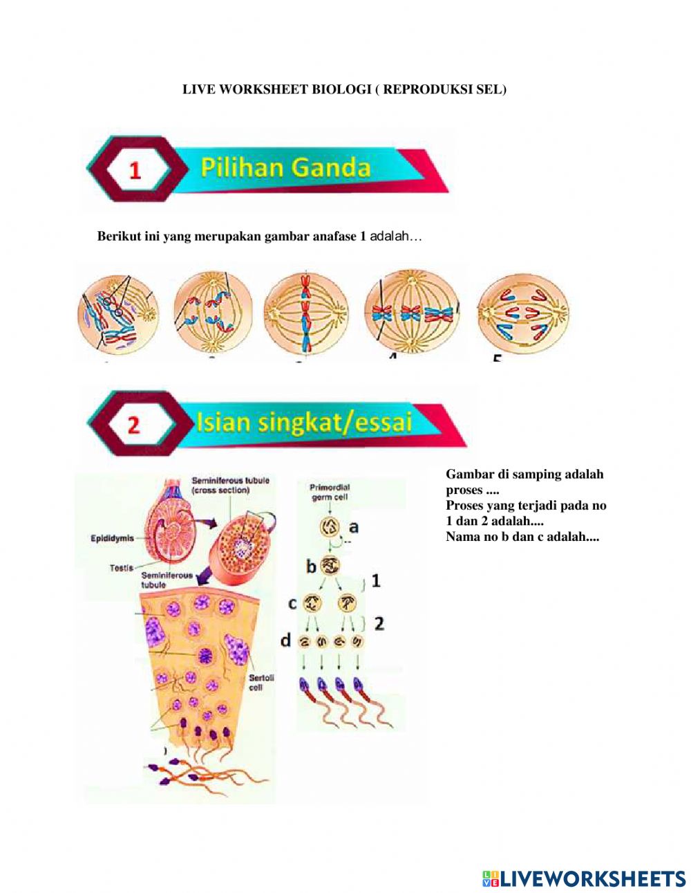 Detail Gambar Proses Proses Biologi Nomer 18