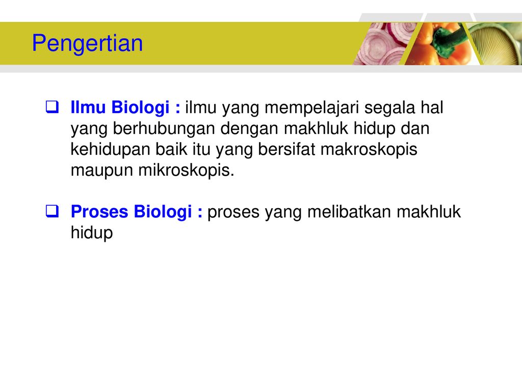 Detail Gambar Proses Proses Biologi Nomer 20