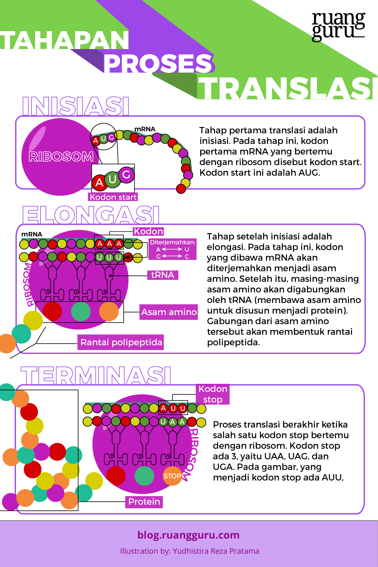 Detail Gambar Proses Proses Biologi Nomer 23