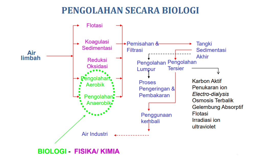 Detail Gambar Proses Proses Biologi Nomer 36