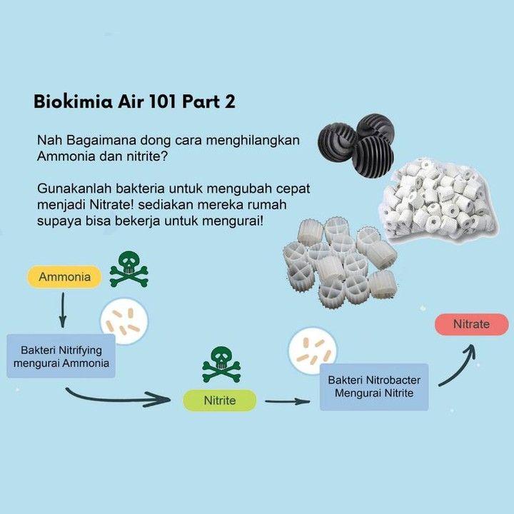 Detail Gambar Proses Proses Biologi Nomer 6